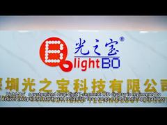 Προσαρμοσμένη Διψήφια Οθόνη LED 7 τμημάτων