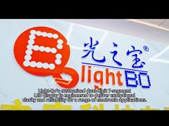 Προσαρμοσμένη Πολύχρωμη Οθόνη LED 7-Segment 3-Ψηφίων